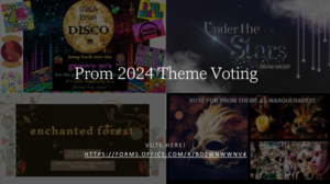 prom 2024 theme voting photo