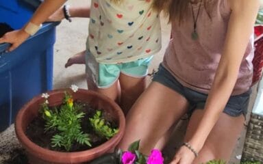 Aurora gardening.